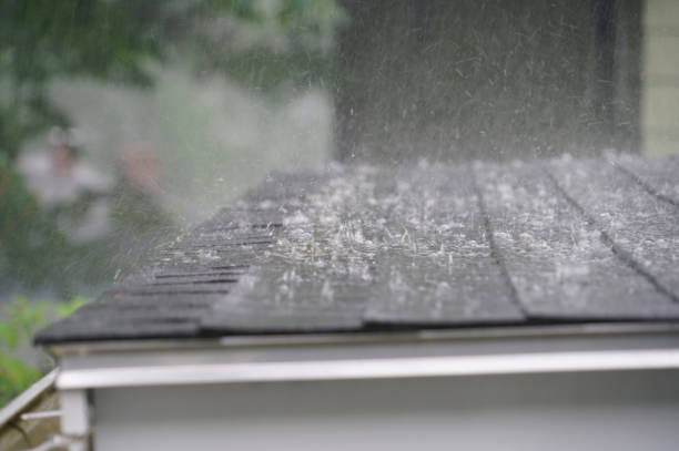 Best Roof Moss and Algae Removal  in Minneapolis, KS